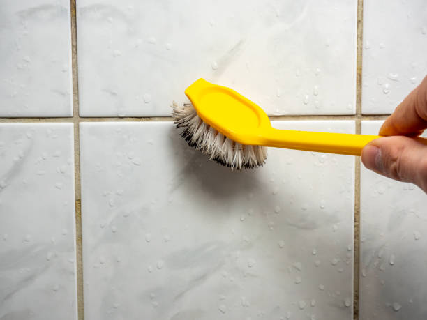 Best Office Mold Removal Services  in Belle Plaine, MN