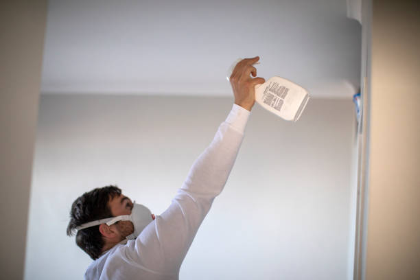 Best Toxic Mold Removal  in Belle Plaine, MN