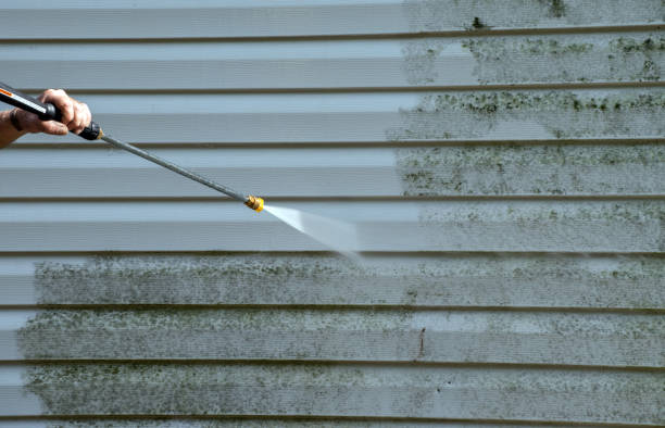 Mold Removal Process in Belle Plaine, MN