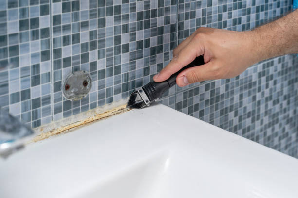 Best Commercial Mold Removal  in Belle Plaine, MN