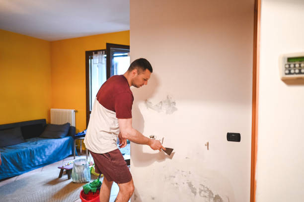 Belle Plaine, MN Mold Removal Company